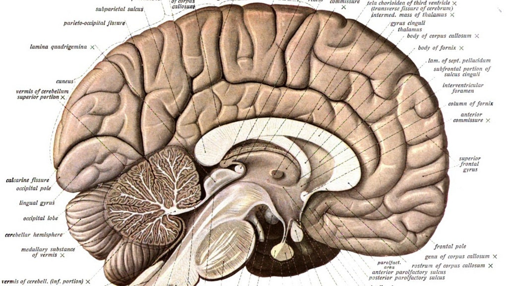 Do hot tubs increase brain function? A recent study performed examining