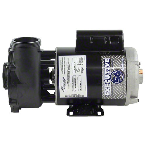 Waterway Executive 5 HP 2 Speed 2" Intake 2" Discharge 56 Frame 230 Volt Pump 3722021-1D