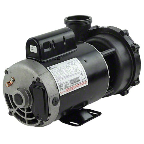Waterway Executive 5 HP 2 Speed 2" Intake 2" Discharge 56 Frame 230 Volt Pump 3722021-1D
