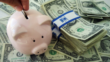 money and piggy bank