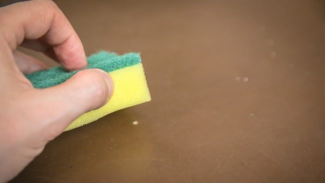 hand holding sponge