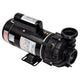 Balboa Dura Jet Pump 4239113-S | 1.5 HP | 2 Speed