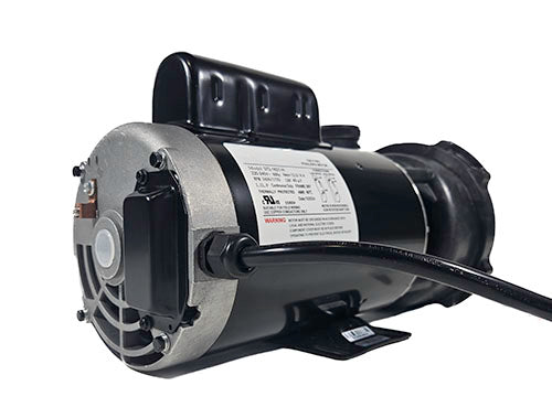 Waterway Executive 4 HP 2 Speed 2" Intake 2" Discharge 56 Frame 230 Volt Pump ME-40226-20