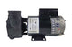 Waterway Executive 4 HP 2 Speed 2.5" Intake 2" Discharge 56 Frame 230 Volt Pump ME-40226-25