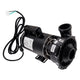 Waterway Executive 4 HP 1 Speed 2" Intake 2" Discharge 56 Frame 230 Volt Pump ME-40126-20