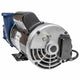 Gecko Maelstrom MS-1 Series Pump 0800-390005