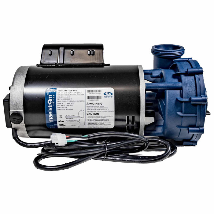 Gecko Maelstrom MS-1 Series Pump 0800-390005