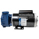 Gecko Maelstrom MS-1 Series Pump 0800-390005