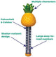 Game Pineapple Thermometer