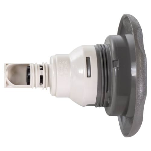 parent