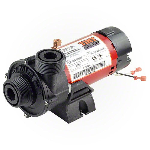 Waterway Tiny Might Circulation Pump 3312610-14 | Waterway