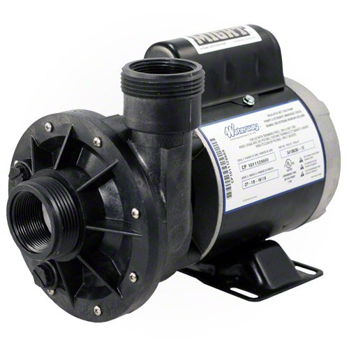 Waterway Iron Might Circulation Pump 115 Volt 3410030-1E