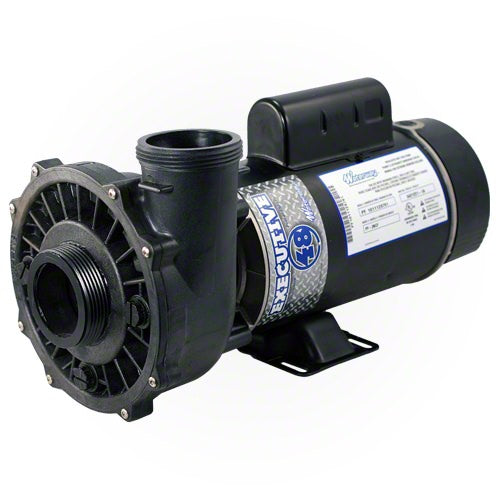 Waterway Executive 2 HP 2 Speed 48 Frame 230 Volt Pump 3420820-1A