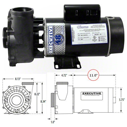 Waterway Executive 2 HP 2 Speed 48 Frame 230 Volt Pump 3420820-1A