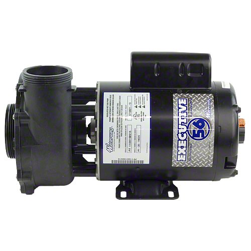 Waterway Executive 2 HP 2 Speed 2-1/2" Intake 2" Discharge 56 Frame 230 Volt Pump 3720821-13