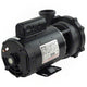 parent