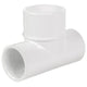 parent