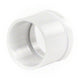 parent
