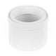 parent
