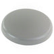 parent