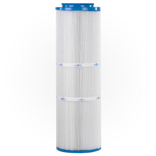 parent